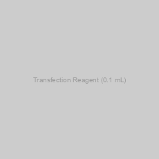 Image of Transfection Reagent (0.1 mL)